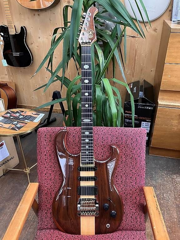 Instruments de musique: Alembic E-Gitarre 1987 – D'occasion à Zofingen par bjmusic 1