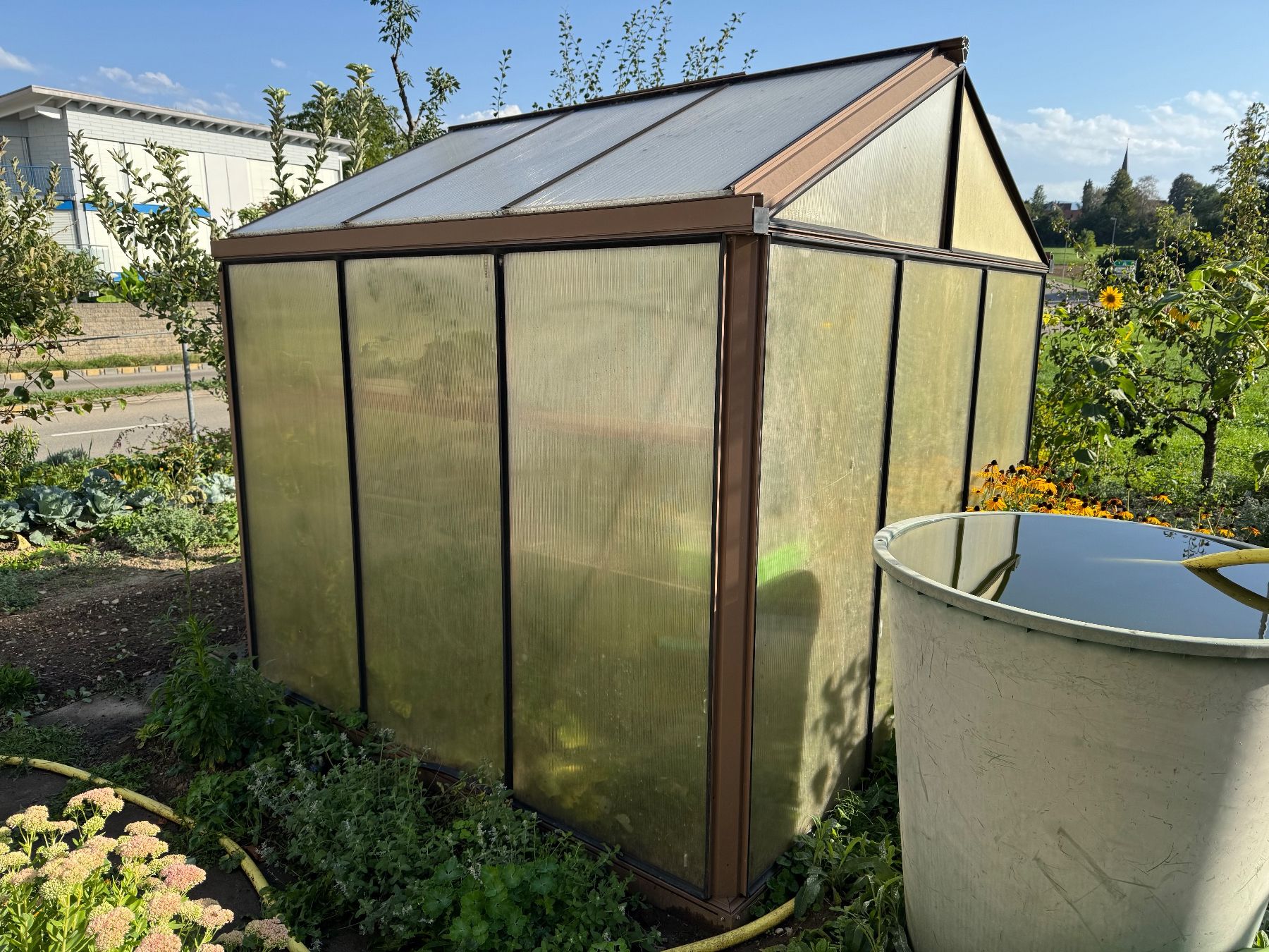 Cabanes de jardin & serres: Gewächshaus – D'occasion à Bubikon par hanspeterbhp