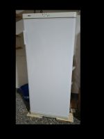 Zanussi Gefrierschrank ZFC 181 (164 L) – voll funktionsfähig