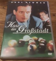 Haie der Grossstadt - mit Paul Newman (DVD)