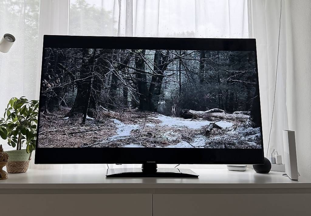 Appareils TV: TV 55 Zoll – D'occasion à Horgen par mar_zcz6 3