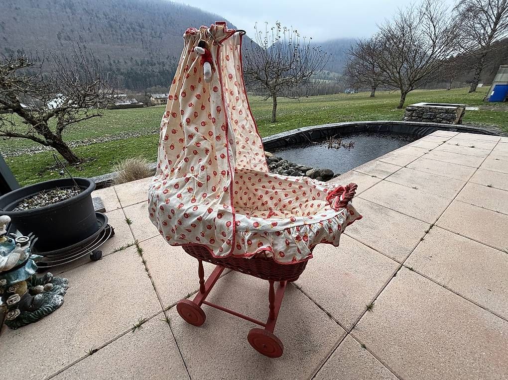 Giocattoli: Puppen - Stubenwagen – Usato da Rapperswil BE venduto da henslerst