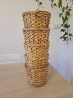 Vaso per piante