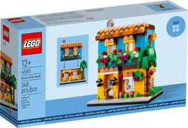 LEGO Promotional 40583 Houses of the World 1