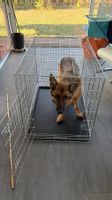 XXL Hundebox Metallgitter silber klappbar