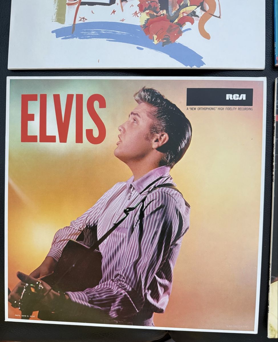 Schallplatten: 4 Elvis Presley Schallplatten Sammlung Vinyl – Gebraucht aus Goldach von Donpancho 3