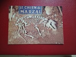 AK France Tier Ausgrabung Hund von Marzal (804)