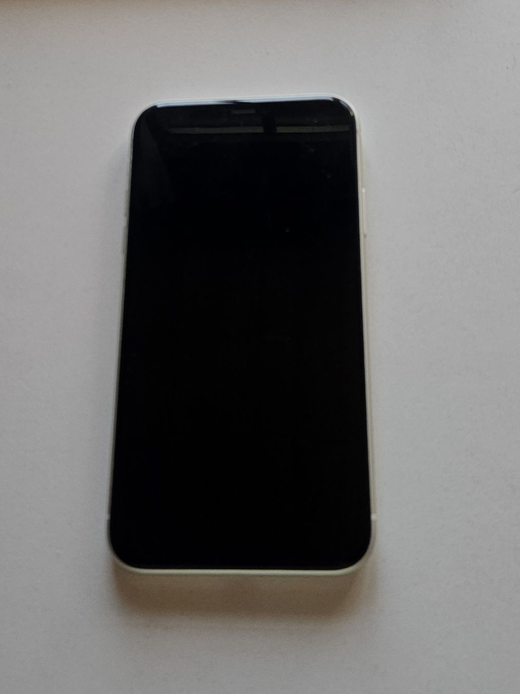 Apple Telefoni cellulari / Smartphones: iPhone 11 – Usato da Busswil b.Melchnau venduto da Cidi00