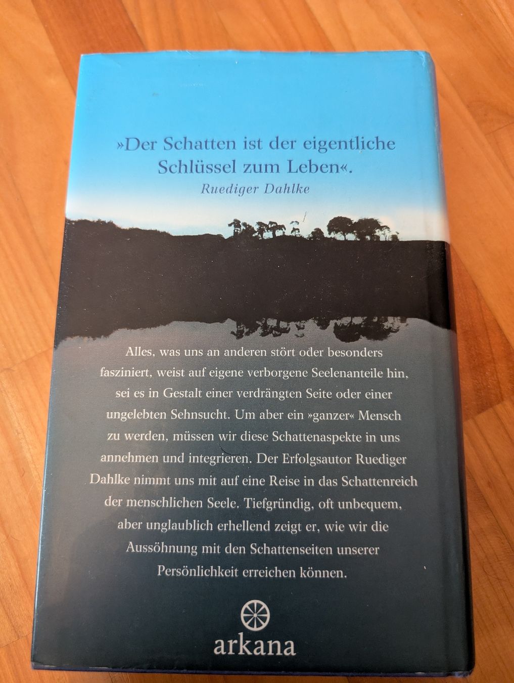 Libri: Das Buch der Widerstände und das Schatten Prinzip – Usato da Benglen venduto da kintaro-oe 4