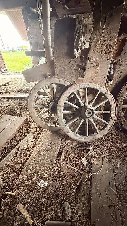 Pneus & Roues: Ruote da carro – D'occasion à Olivone par Elia_97 1