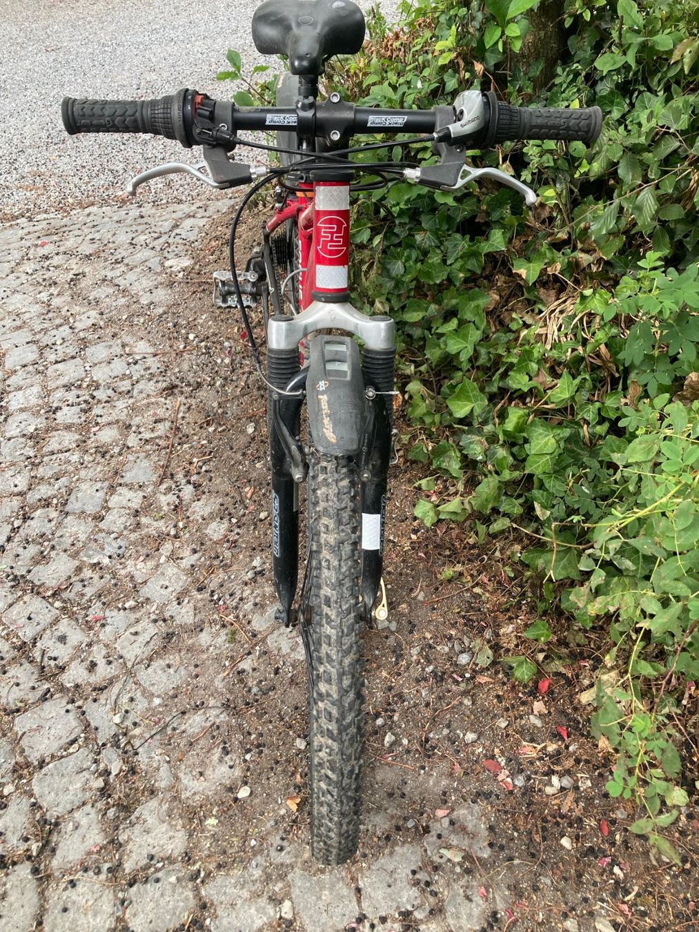 Focus Vélos: Kindervelo Focus – D'occasion à Kirchlindach par roland0101 3