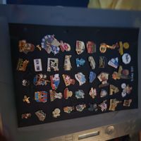 100 stück  Pinsammlung 