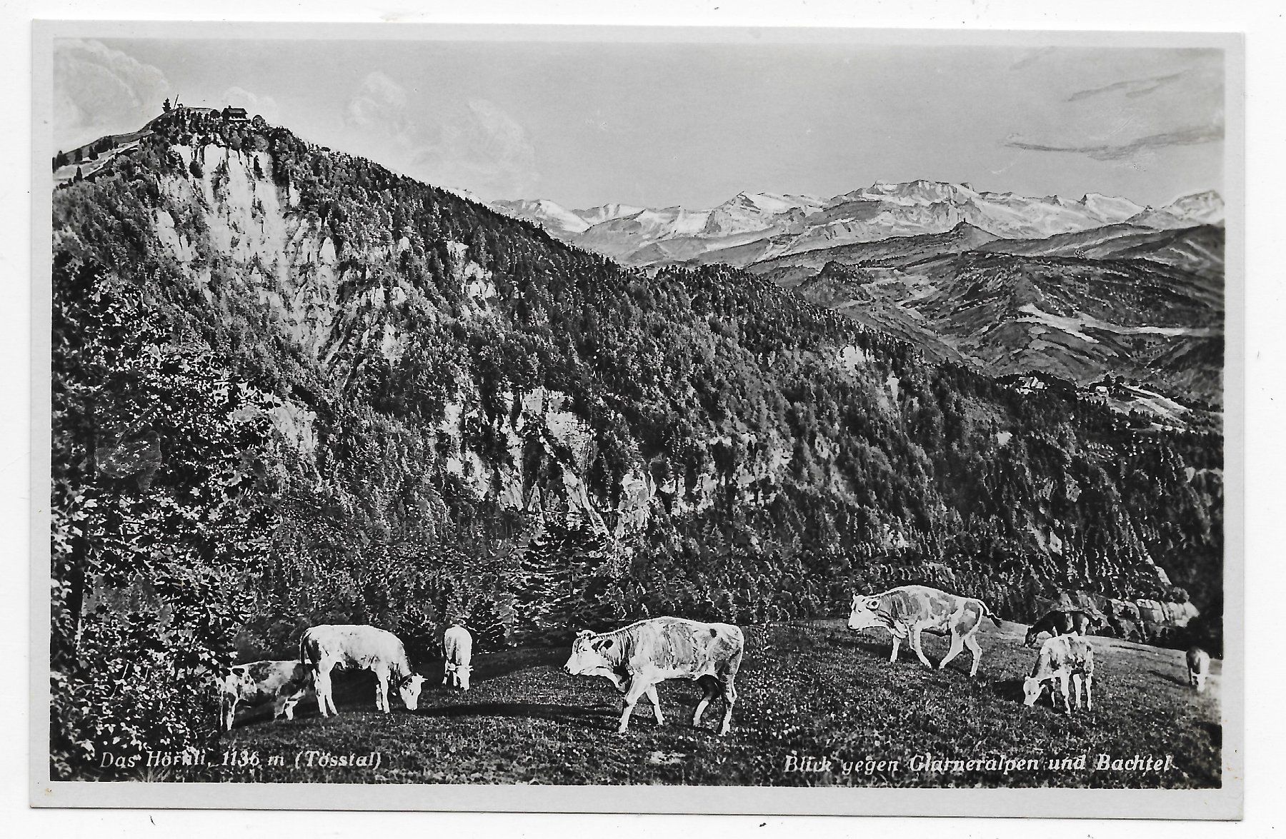 Ansichtskarten: Das Hörnli, Blick gegen Glarneralpen & Bachtel – Gebraucht aus Hefenhofen von Richsalz