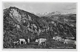 Das Hörnli, Blick gegen Glarneralpen & Bachtel