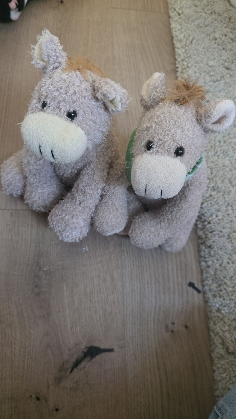 Jouets: Plüschtier Ernest – D'occasion à Dietikon par alanda01