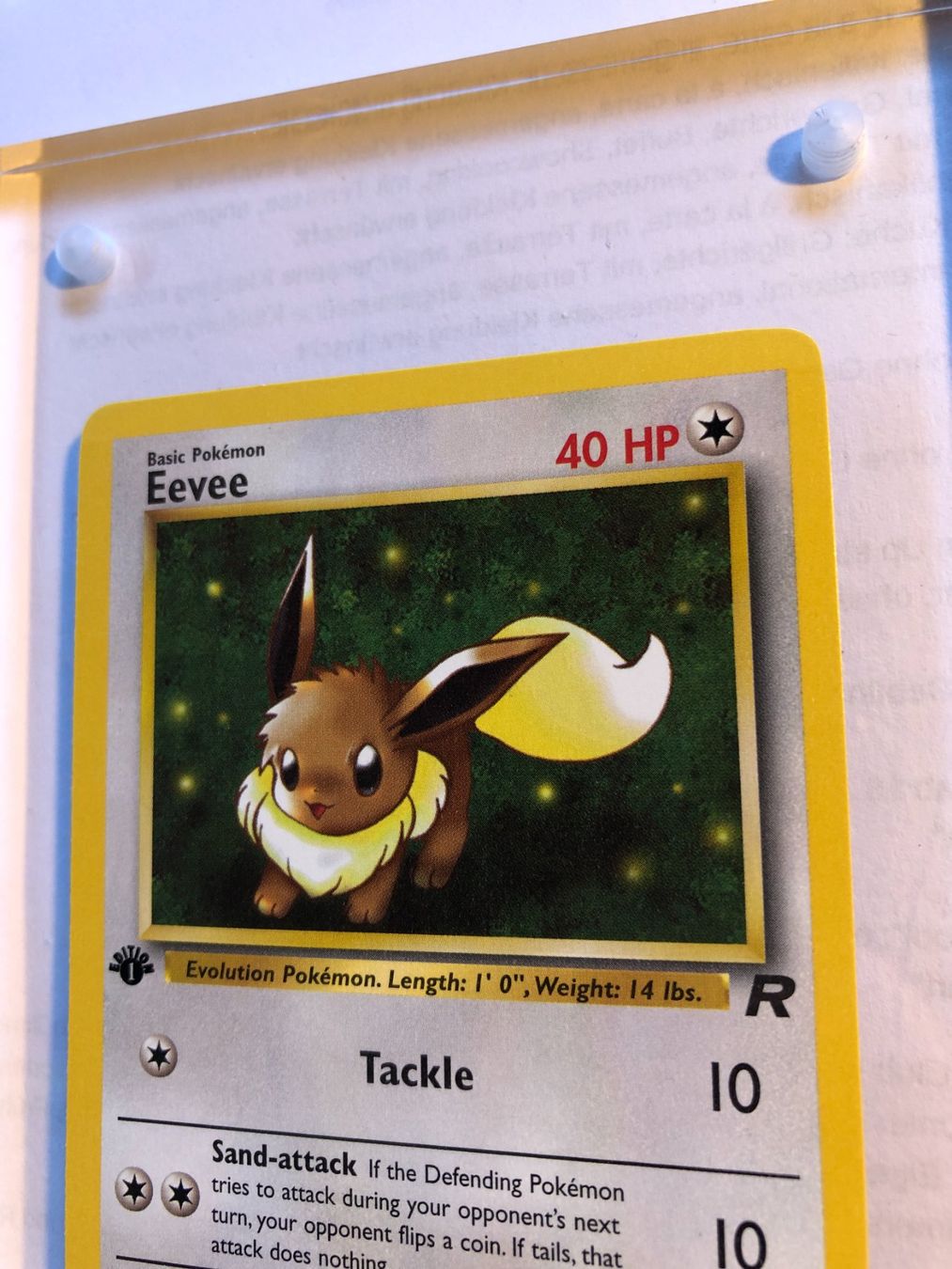 Sammelbilder & Trading cards: Eevee 1st Team Rocket - MINT - ab 1.- – Gebraucht aus Giubiasco von dan_pr8b 3