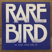 Rare Bird ‎– As Your Mind Flies By