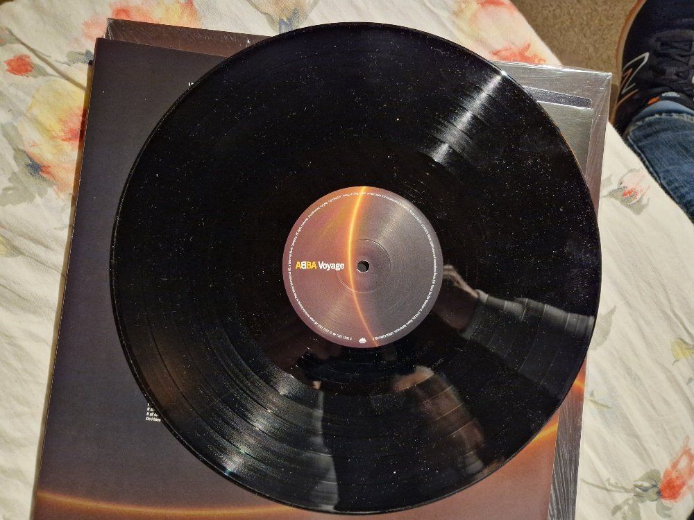Dischi in vinile: ABBA – Voyage – Usato da Brittnau venduto da Zibu 5
