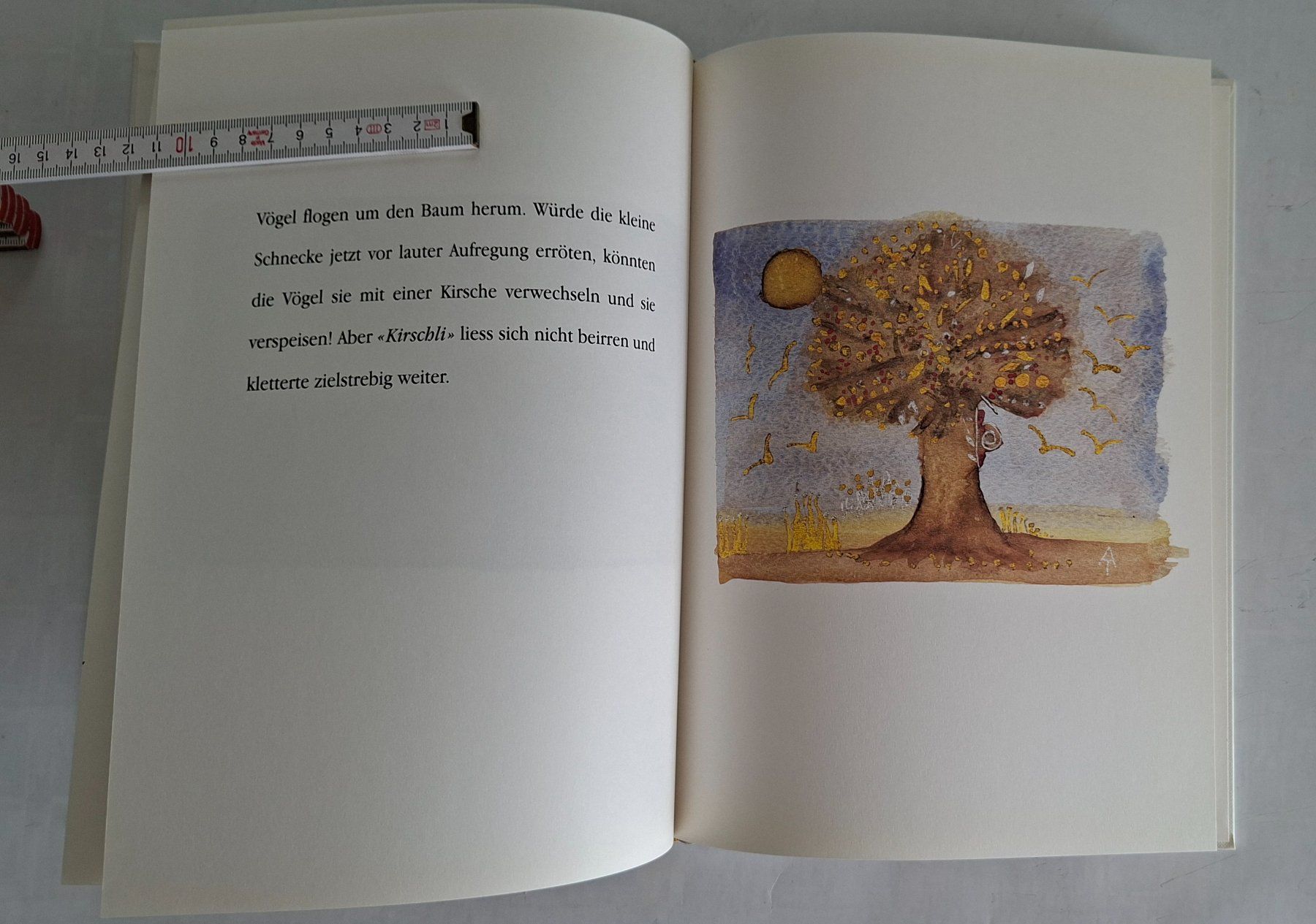 Libri: Kirschli, die kleine Schnecke - Kinderbuch – Usato da Opfikon venduto da Diversamente 5