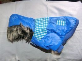 Hundemantel mit Kapuze, blau/kariert, Gr. S/20cm, NEU %%