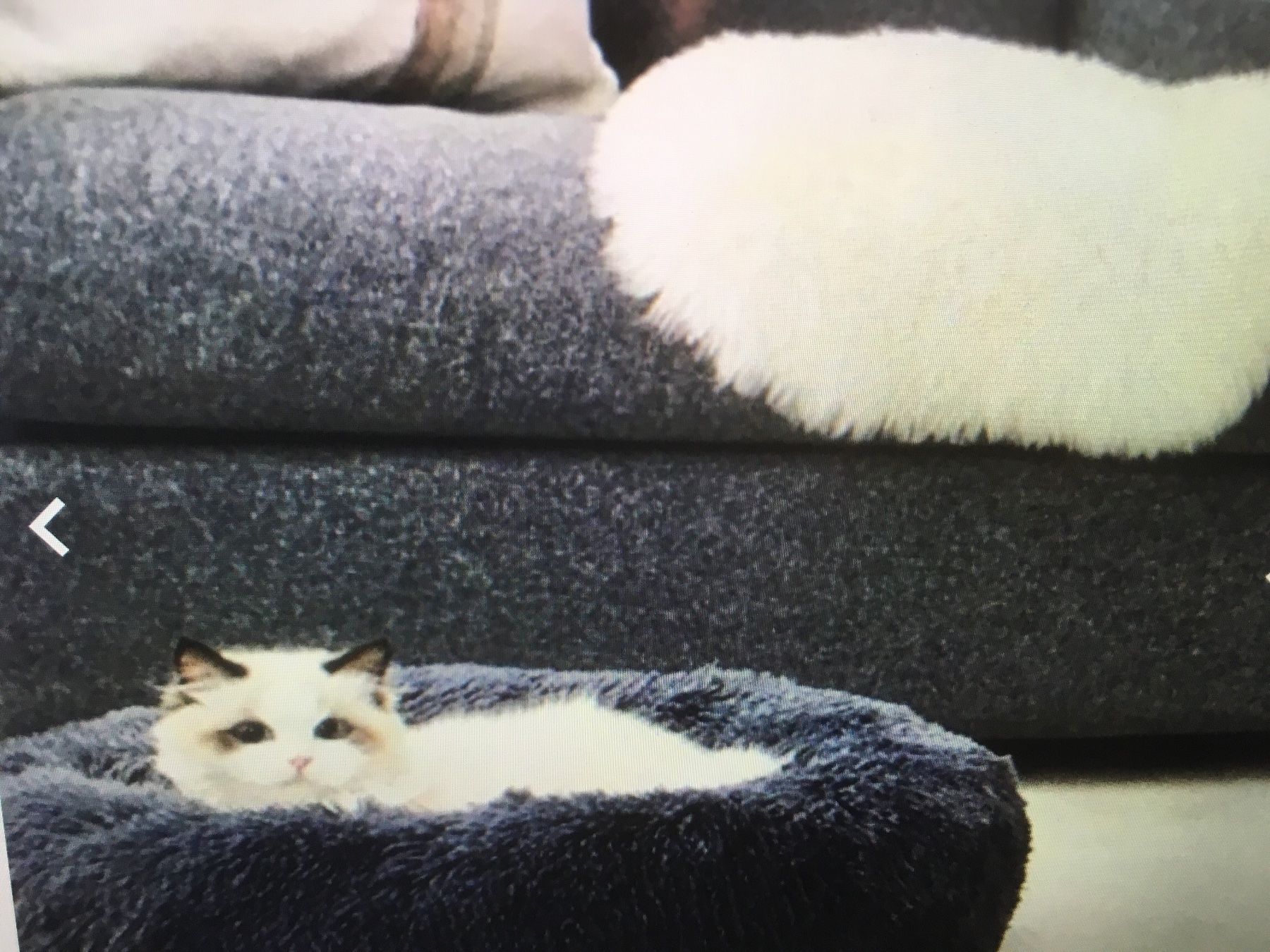 Liege- & Schlafplätze: Katzen Bett flauschig 2 Farben neu – Neu und originalverpackt aus Rorschach von charlotte1964 5