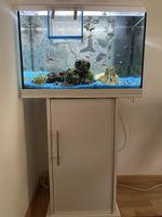 Juwel Aquarium 60 Liter mit Unterschrank + kompletter Besatz