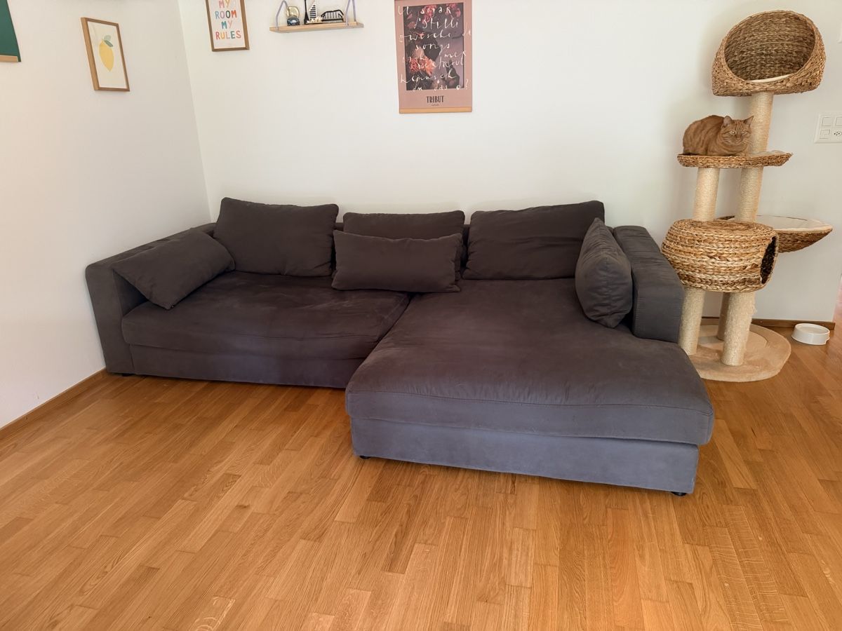 Sofas: Sofa Darwin Micasa – D'occasion à Luzern par LauraLynnMeier