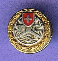 TCS   Logo  goldig