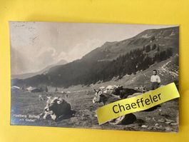1925. Hasliberg. Blümlisalp mit Giebel