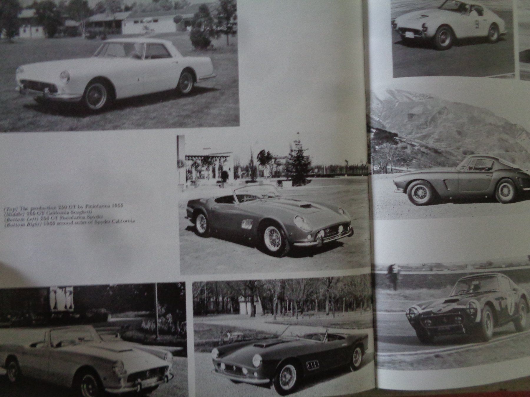 Libri: Ferrari Hans Tanner – Usato da Davos Platz venduto da Ahende 6