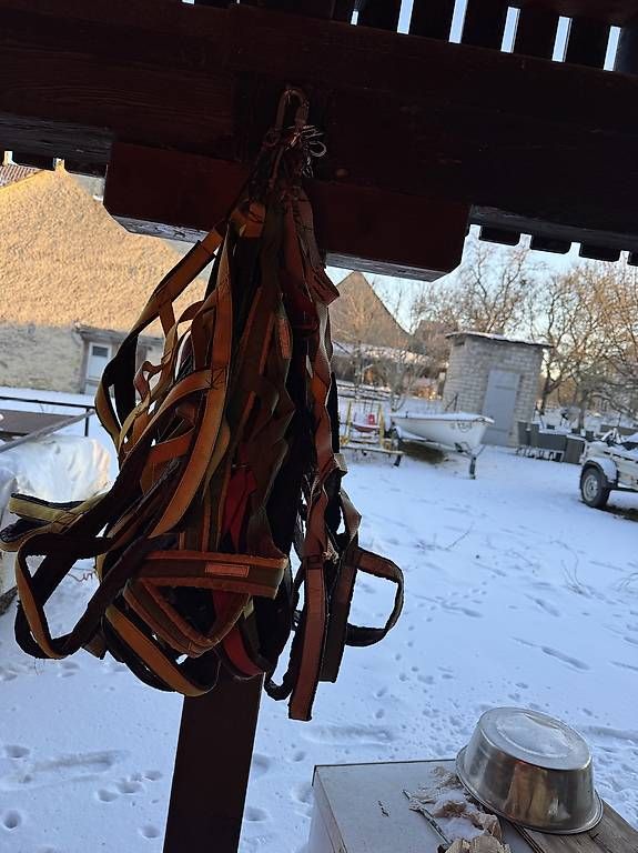 Tagliaerba: Matériel chiens de traîneau  – Usato da Bure venduto da Tatayouk 4