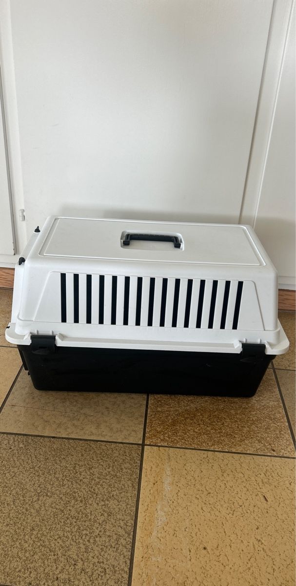 Cucce & Letti: Katzen Transportbox – Usato da Bachs venduto da jok_8p6r 1