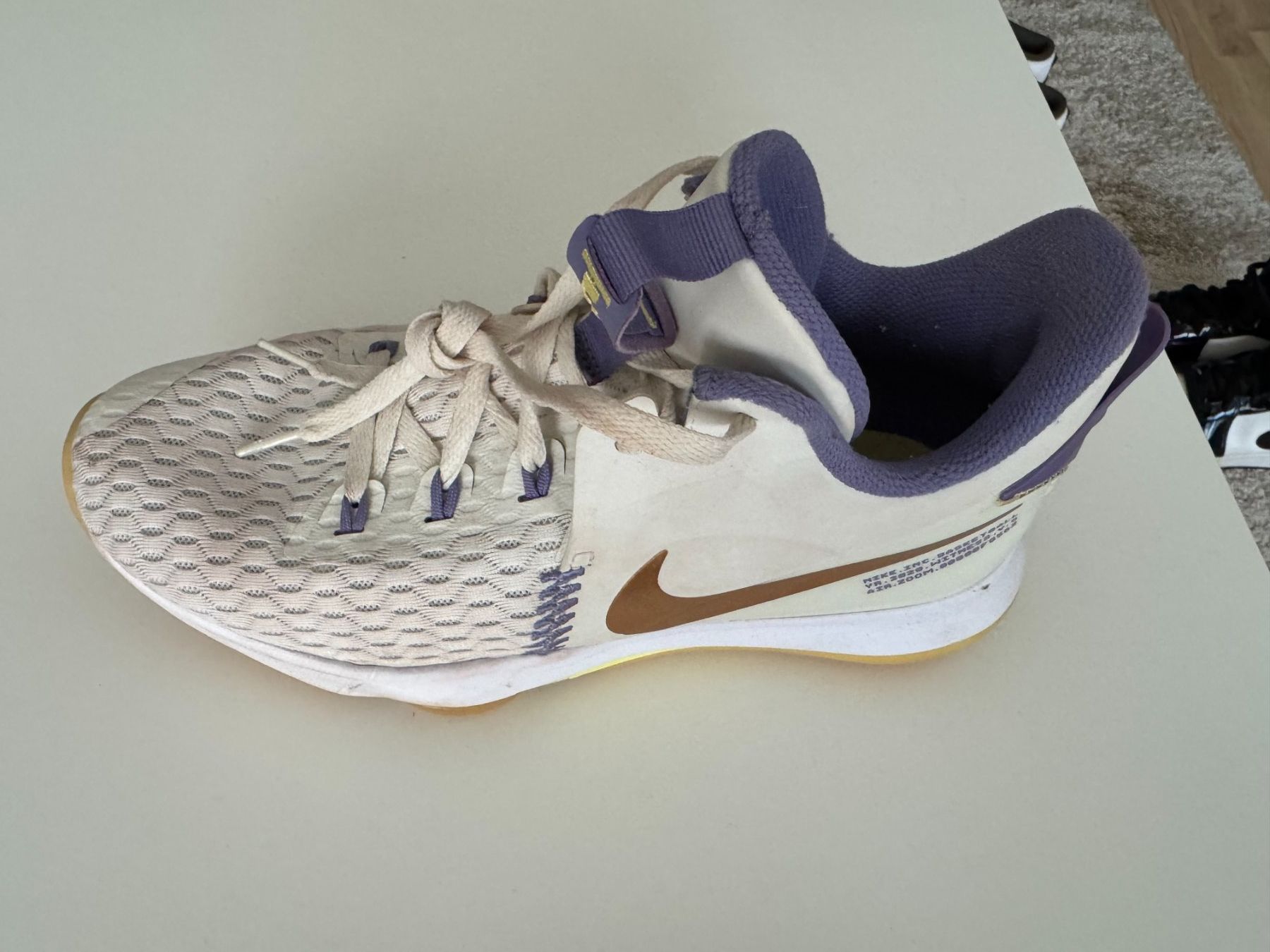 Nike Scarpe da uomo: Nike LeBron witness, Gr. 45 – Usato da Rotkreuz venduto da Servette1 1