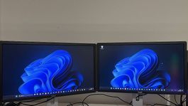 DELL Monitore (2x)