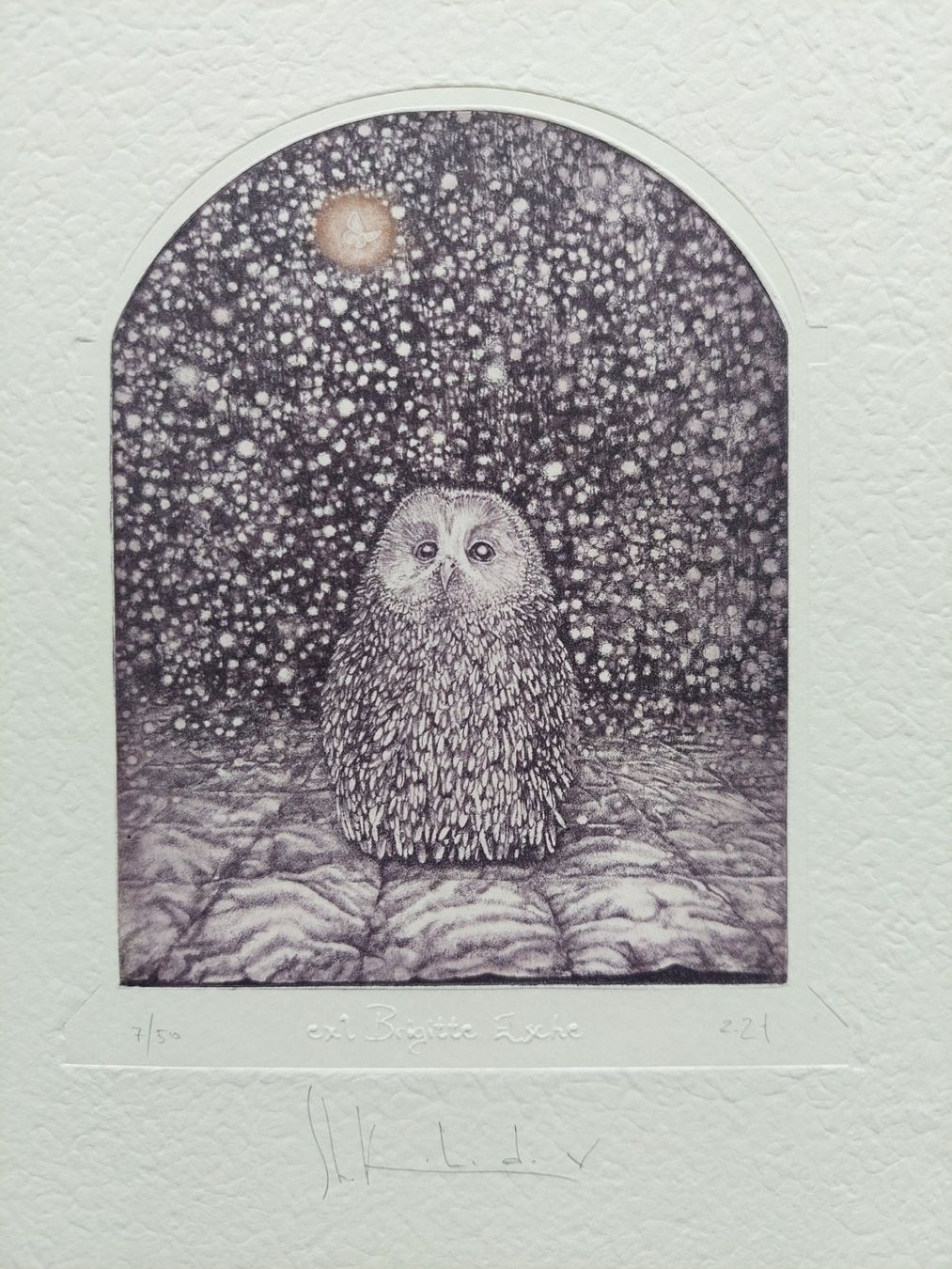 Dipinti: Exlibris Egor Shokoladov - Original Radierung Eule signiert – Usato da Obfelden venduto da Exlibris-Art