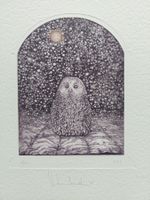 Exlibris Egor Shokoladov - Original Radierung Eule signiert