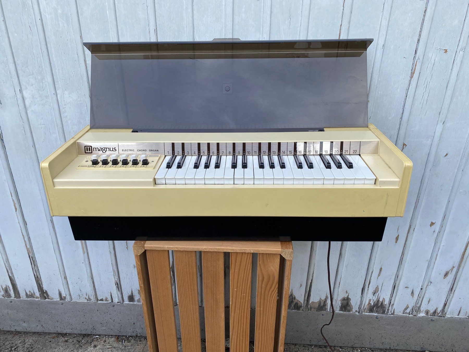 Strumenti musicali: Elektrische Orgel magnus 1970 – Usato da Zürich venduto da Pyramid1 1