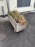 Beton Blumentopf 