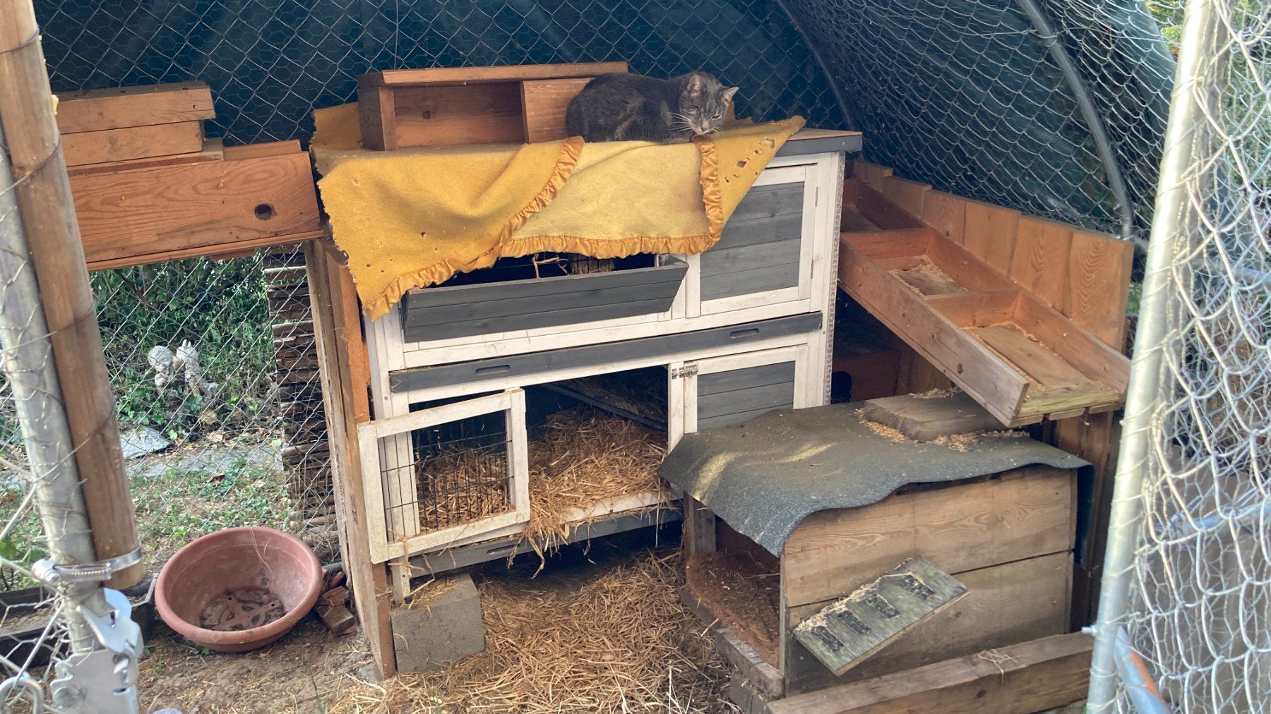 Käfige, Transport & Sicherheit: Freigehege Kleintier Käfig Stall – Gebraucht aus Zwingen von Hugom 4