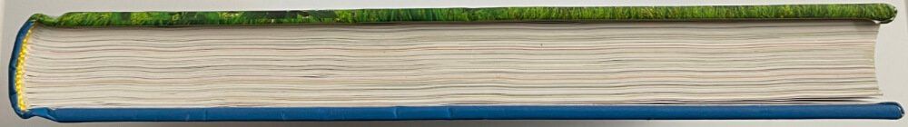 Libri: Bertelsmann Kinderlexikon – Usato da Oetwil am See venduto da Blue_Gecko 3