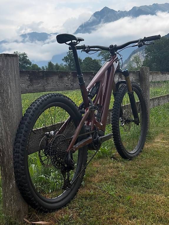 Specialized Biciclette: Specialized Turbo Levo Pro, S4, ab Service, mit 2 Batterien – Usato da Zug venduto da SaMa7320 3