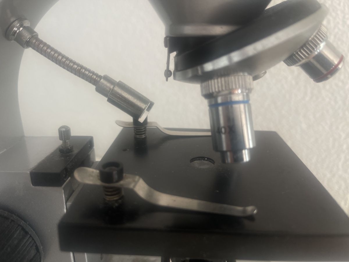Microscopi: Barska Digitales LCD-Mikroskop – Usato da Port venduto da Kortes1 3