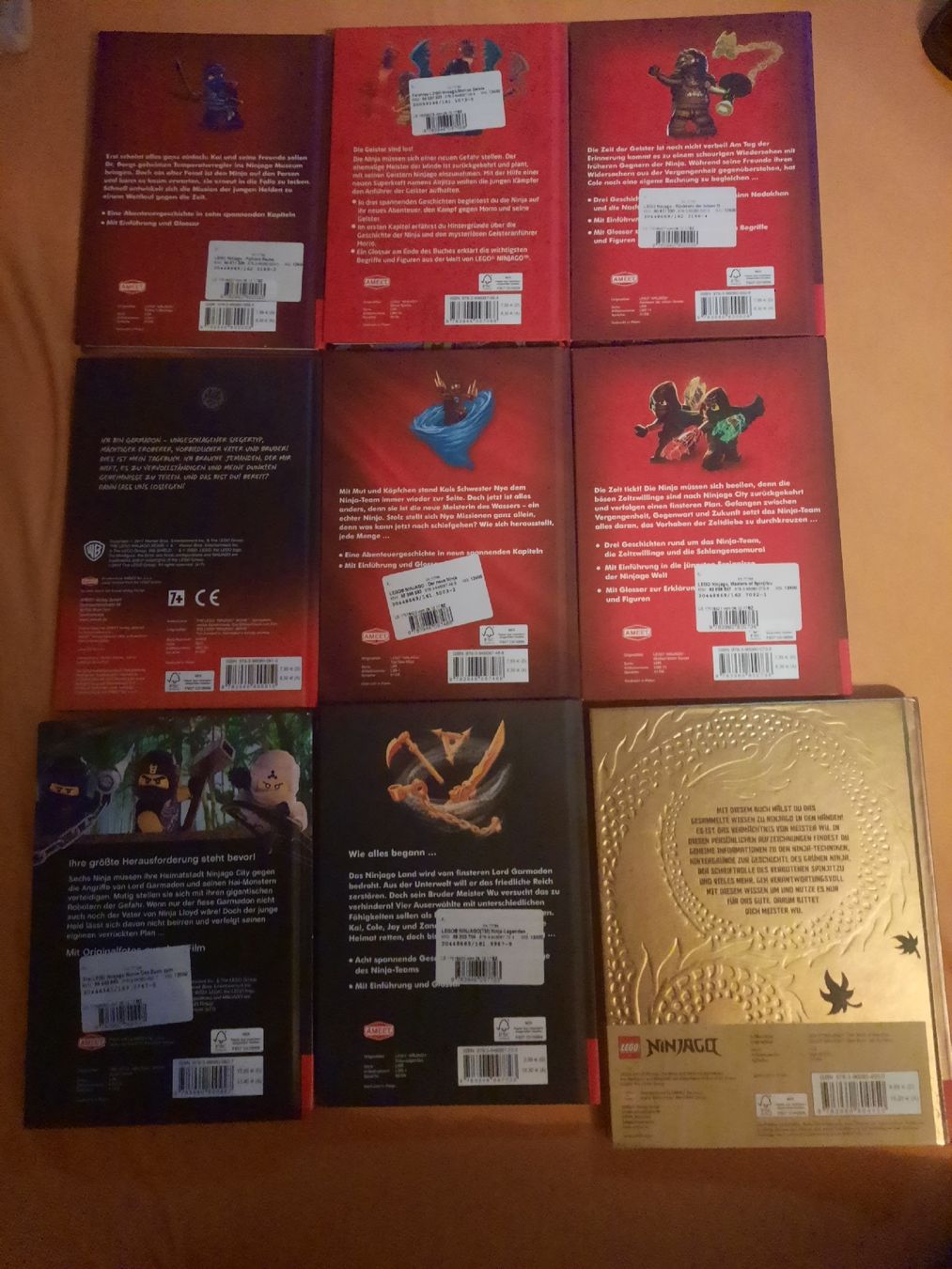 Bücher: Lego Ninjago Bücher – Gebraucht aus Brünisried von mic_9t2k 1