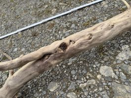 Schwemmholz Treibholz Basteln Lampe DIY Holz kreativ