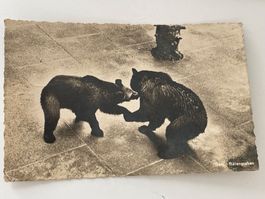 Antike Postkarte Bärengraben Bern, ca. 1940