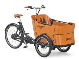 Babboe Curve Mountain 500Wh Enviolo