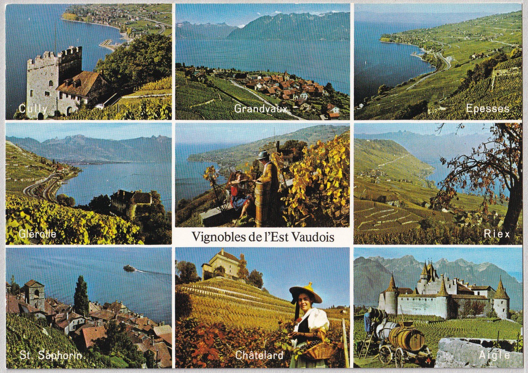 Cartoline postali: Vignobles de l'Est Vaudois – Nuovo (secondo la descrizione) da Castione venduto da Rx-stamps