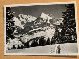ANTIKE ANSICHTSKARTE SKIGEBIET OBERTOGGENBURG*********