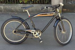 Beach-Cruiser Velo: Felt Cafe 750 - sehr guter Zustand