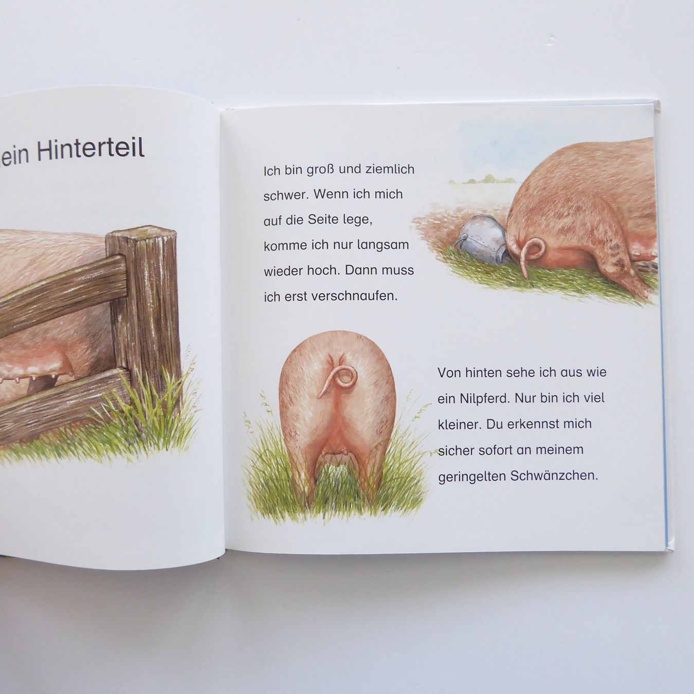 Livres: Wer bin ich? – D'occasion à Basel par Kunterbunt12 3